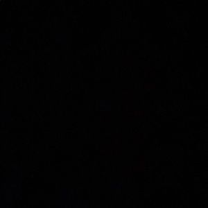 Meet your Posher, Peyton